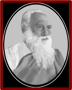 264d1b57-45fc-4eea-9dbc-d3db826fd442